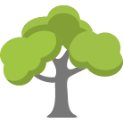 Perrysburg Tree Removal