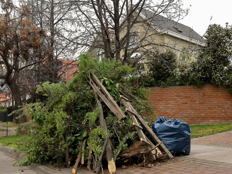 Clearance of Debris