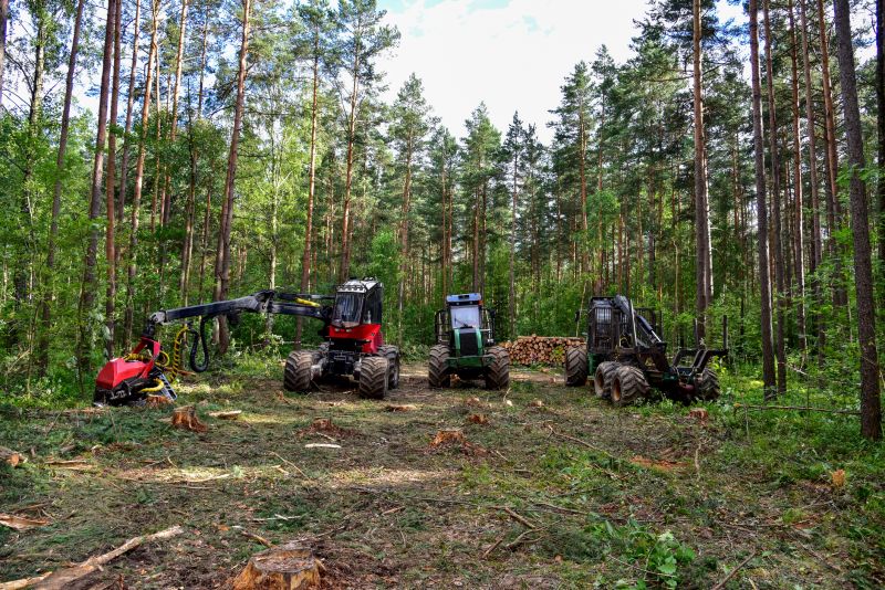 Tree Cutting Equipment