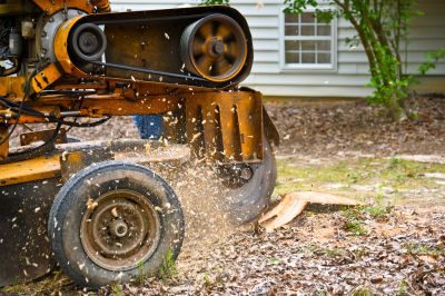 Stump Grinding Machinery