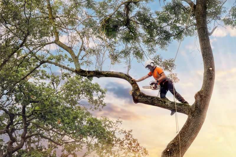 Hazardous Tree Assessment