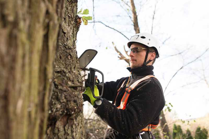 Safety Gear in Use